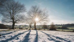 solar power in winter