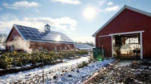 farmers utilize renewable heating
