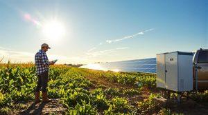 maximizing agricultural solar investment