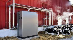 sustainable dairy farm heating