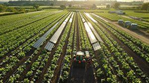 sustainable farming practices implementation