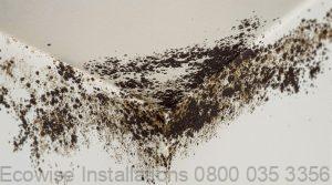 high cost moisture issues complex installation health risks