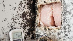 proper insulation prevents dampness