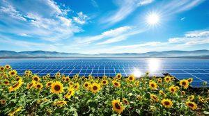 harnessing sunlight for electricity